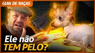 Miniatura do vídeo