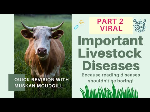 Important Viral Livestock Diseases - FMD foot and mouth disease and Rinderpest