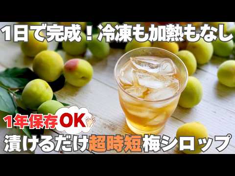 【1日で完成】梅シロップを即完成させる裏技！冷凍なし非加熱だから酵素が生きてる。身体整う梅ジュース。梅コーラ＆蜂蜜梅シロップ