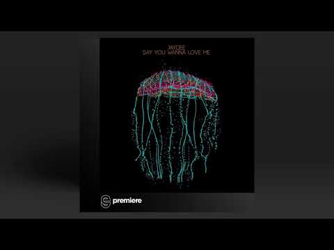 Premiere: Jaydee - Say You Wanna Love Me (Alexander Koning remix) - [percep-tion]