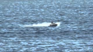 Jigue 2 - by Musicgirl