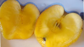 Mela dietetica cotta al microonde