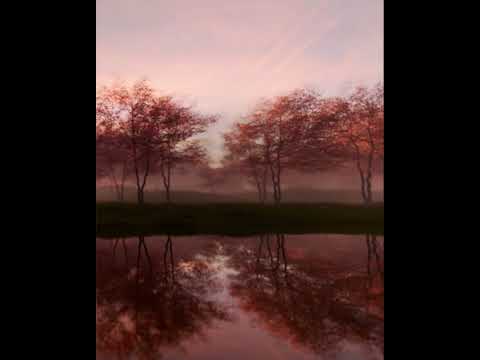 Wacoal | Crafted In Japan 🌸