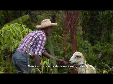 Nous, gens de la terre - la Martinique / Extrait