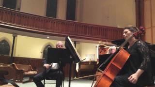 J. Brahms Piano Trio #1 in B Major Op 8 1.- Allegro con brío