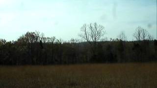 preview picture of video 'Strait Creek Prairie Bluffs Preserve-New Trail on the Prairie'