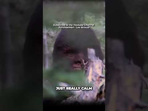 Survivorman | Todd Standing Talks About His BIGFOOT Encounter | Les Stroud