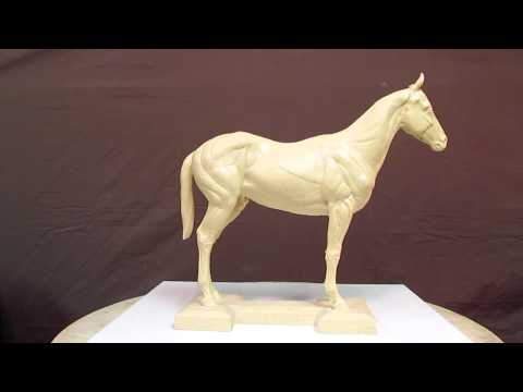 Anatomy of the horse sculpture