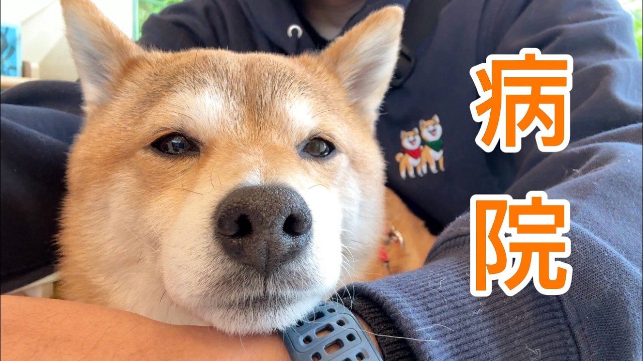 急遽病院に行きました