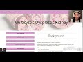 Multicystic Dysplastic Kidney - Macy Le