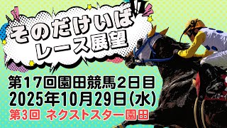 そのだけいばレース展望（10月29日分）