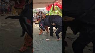 Download lagu banteng gelut lawan macan #bantengmacan #bantengan #barongankendal mp3