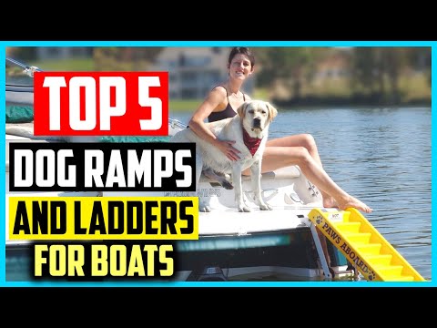 YouTube video about: How to get dog on and off boat?