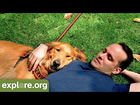 Luis Montalvan and his dog Tuesday