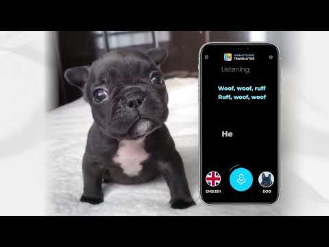 Human to Dog Translator