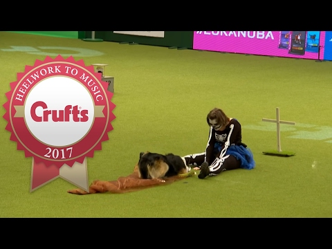 Freestyle Heelwork To Music Competition Part 3/3 | Crufts 2017