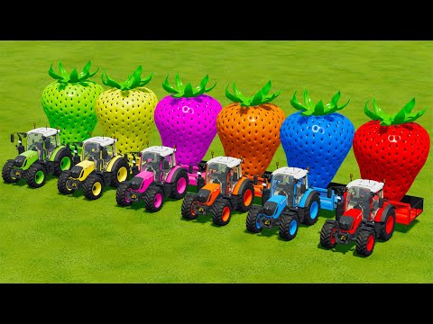 LOAD AND TRANSPORT GIANT STRAWBARRYS WITH FENDT TRACTORS -   Farming Simulator 22