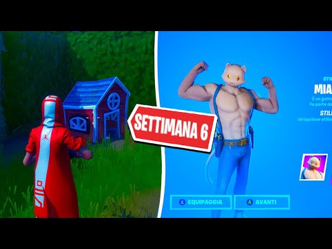 SFIDE SETTIMANA 6 & MISSIONE FINALE MIAOSCOLO ⛏️ Pazzox