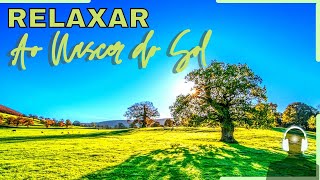 Musica Pra Relaxar Com Vdeos ao Nascer do Sol