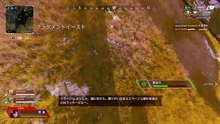 apexについて真剣に考えてみた