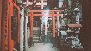 Download the video "Kyoto and Nara | Fujifilm X-H2S"