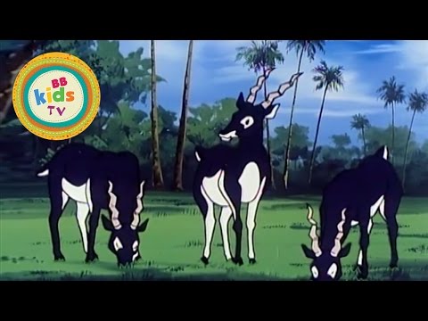 THE HEROE'S RETURN - The Jungle Book ep. 13 - EN