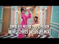 Cardi B & Megan Thee Stallion - WAP (Chris Wess Dance Remix) [Explicit]