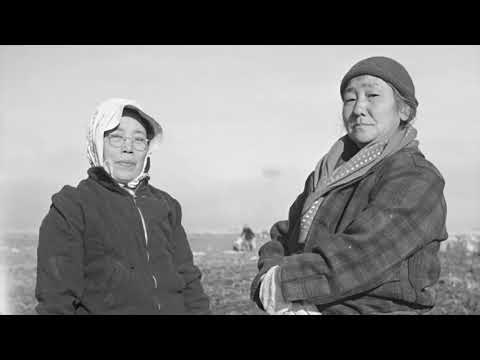 Koko Ni Sachi Ari 4G - Vocals, Grateful Crane Ensemble (2008).  Music Producer - Scott Nagatani.