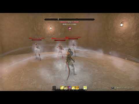 ESO セット装備 凍った監視人 Frozen Watcher