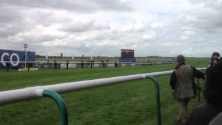 preview picture of video 'Frankel 2012 at newmarket'