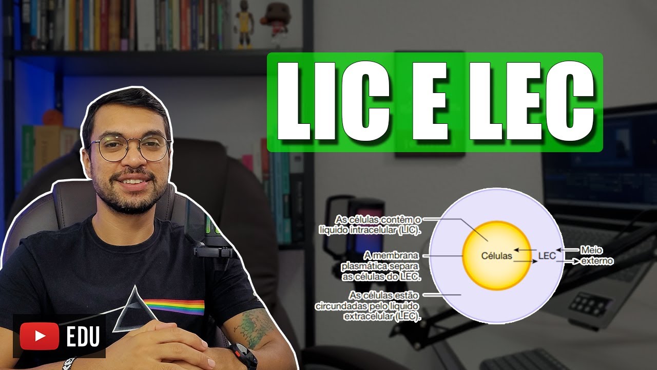 LÍQUIDO INTRACELULAR X EXTRACELULAR [BioCel 08]