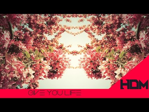 [Melodic Dubstep] The Madison Feat. 3PM- Give You Life