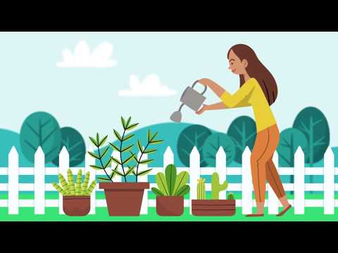 CICLO DO NITROGÊNIO