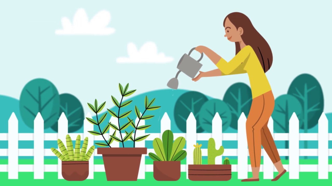 CICLO DO NITROGÊNIO