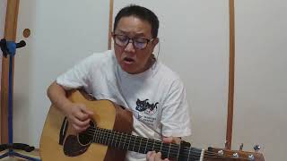 雨のウェンズデイ (大滝詠一) ギター弾き語り
