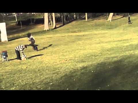 Montreal,Bambino quasi rapito da un Aquila Reale