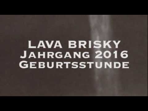 Entstehung Brisky 2016