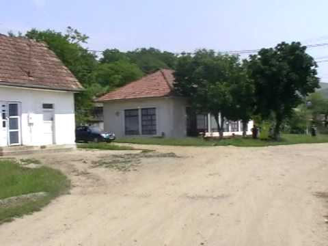 SANMARTINU DE CAMPIE RACIU ROMANIA 2 RACIUTVS