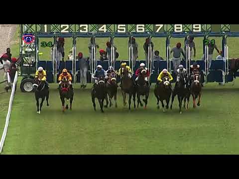 RM3 R4 | Kaydens Pride | P.C.Orffer