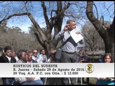 29-08-15 Ventas de Vaquillonas P.C. con Gtia. y Sin Serv. - Rústicos del Sudeste - B. Juarez.