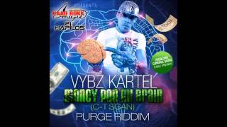 VYBZ KARTEL - MONEY PON Mi Brain - Dec 2014