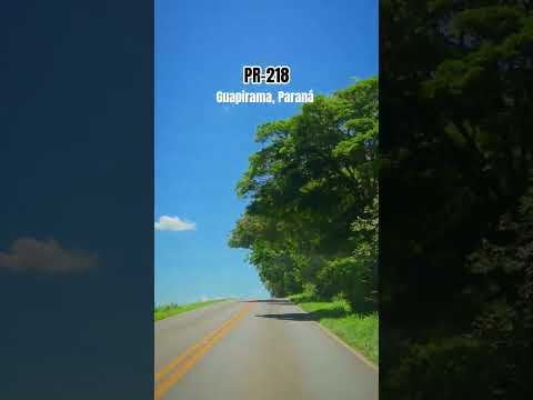 Túnel de Árvores em Guapirama,PR #arvores #natureza #route #estradas #paraná