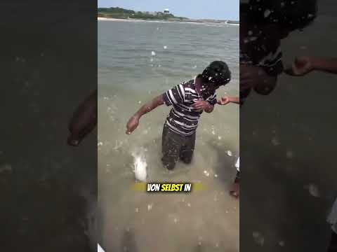 The unique zero-cost bottle fishing of Indian fishermen – a bucket full of fish is i