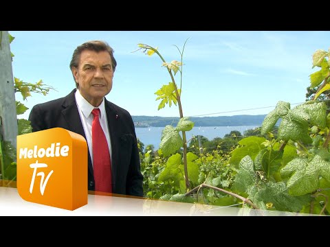 Willy Lempfrecher - Der Engel mit dem Schwert (Offizielles Musikvideo)