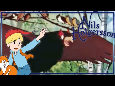 Nils Holgersson: Der Streit der Vögel - Folge 36 auf Deutsch in ganzer Länge
