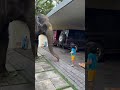 അനൗഷിന്റെ കളി കൂട്ടുകാർ ആരൊക്കെയാ നോ