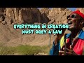 House of Exile - Jimmy Cliff Lyrics Video