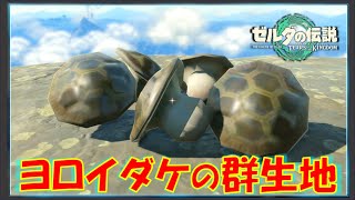 【ゼルダの伝説ティアキン】「ヨロイダケ」が群生している森を紹介！防御力アップLv.3の料理が作れます！