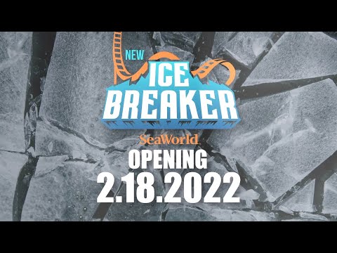 Ice Breaker short video by Cow Missing