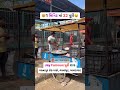 Best Puri Sak In Ahmedabad Shorts Food